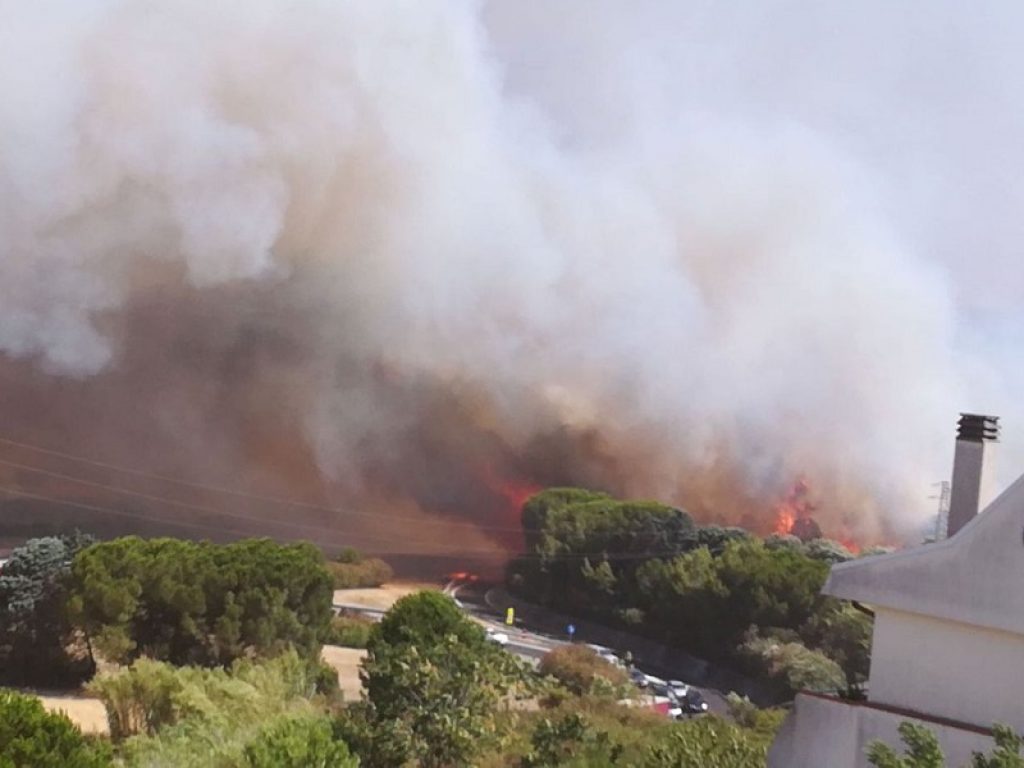 incendi oggi italia