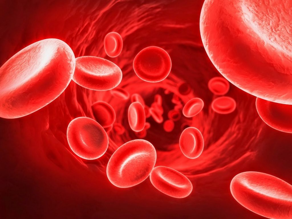 La piastrinopenia è una patologia che consiste nel calo drastico delle piastrine, responsabili del processo di coagulazione: ecco da cosa dipende