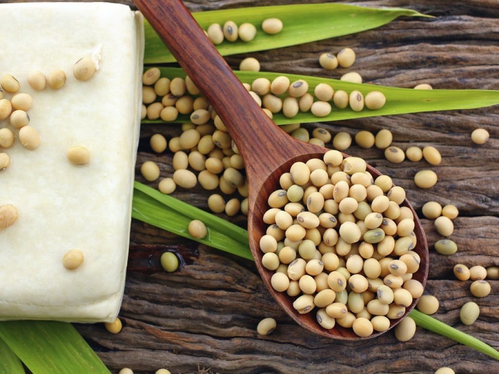 Mato grosso e soia binomio di sviluppo: parla Welligton Andrade, direttore esecutivo della Associacao Brasileira dos Produtores de Soja (Aprosoja)