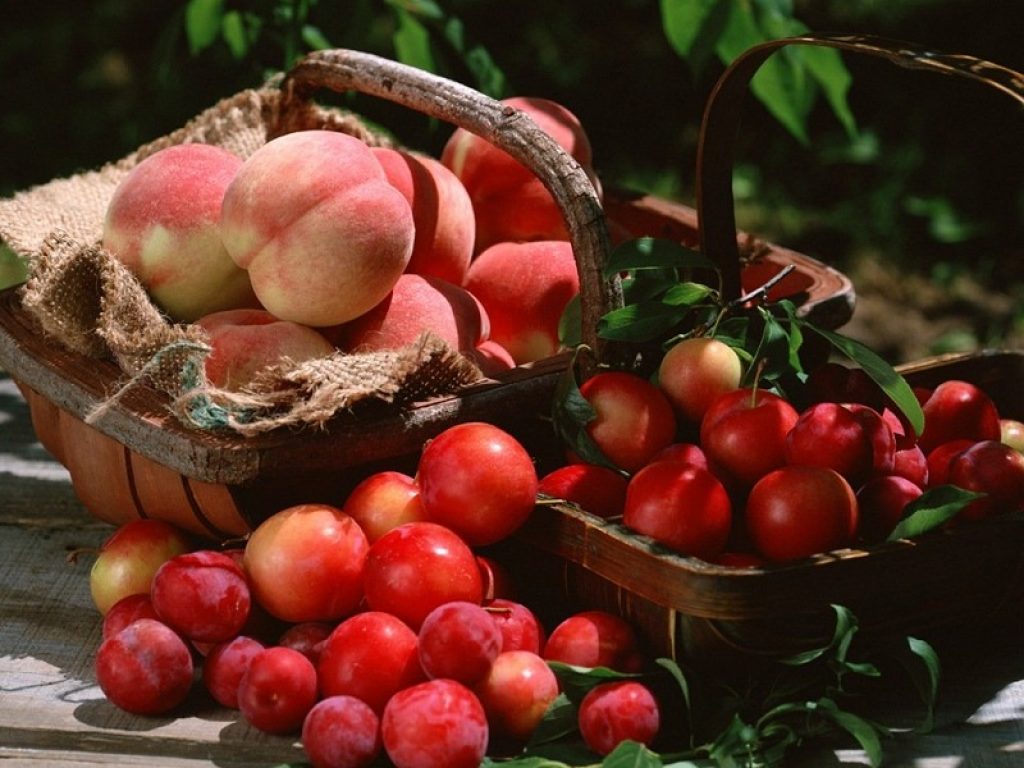 ortofrutta crisi prezzi pesche albicocche