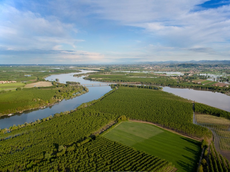 Ferrara diventa set cinematografico per “Delta”, film sul Grande Po: la nuova pellicola di Michele Vannucci sarà girata anche nella città estense