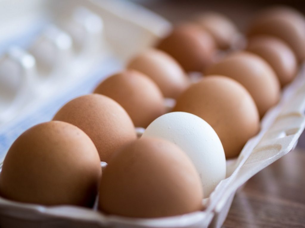 Non è vero che le uova fanno male al fegato: la falsa credenza nasce dalla cattiva interpretazione della proprietà che il tuorlo ha di far contrarre la cistifellea