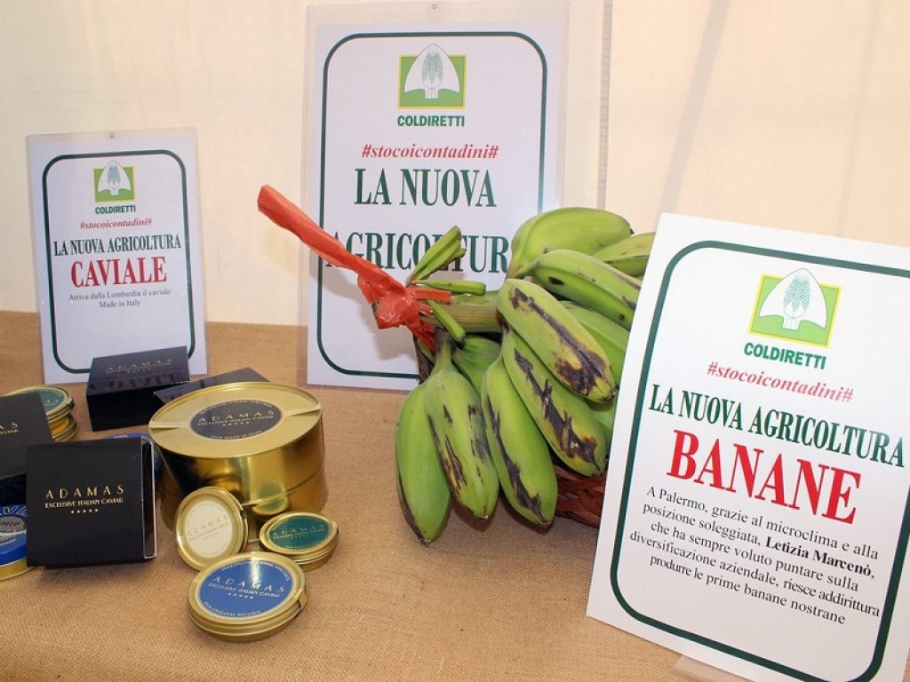 banane sicilia made in italy