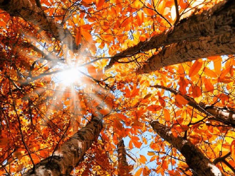 previsioni meteo italia tempo dicembre