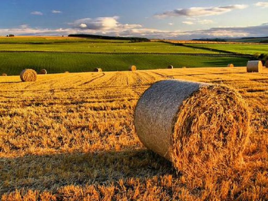 AZeRO Antibiotici è il progetto condotto da ENEA e CNR per ridurre il rischio di contaminazione ambientale da antibiotici
