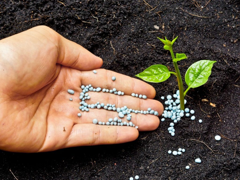 fertilizzanti organici metalli pesanti