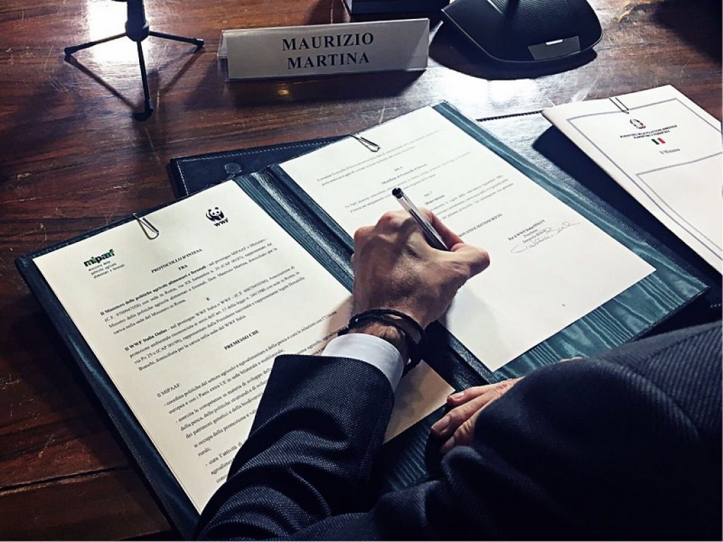 protocollo intesa mipaaf wwf sistemi agricoli e forestali