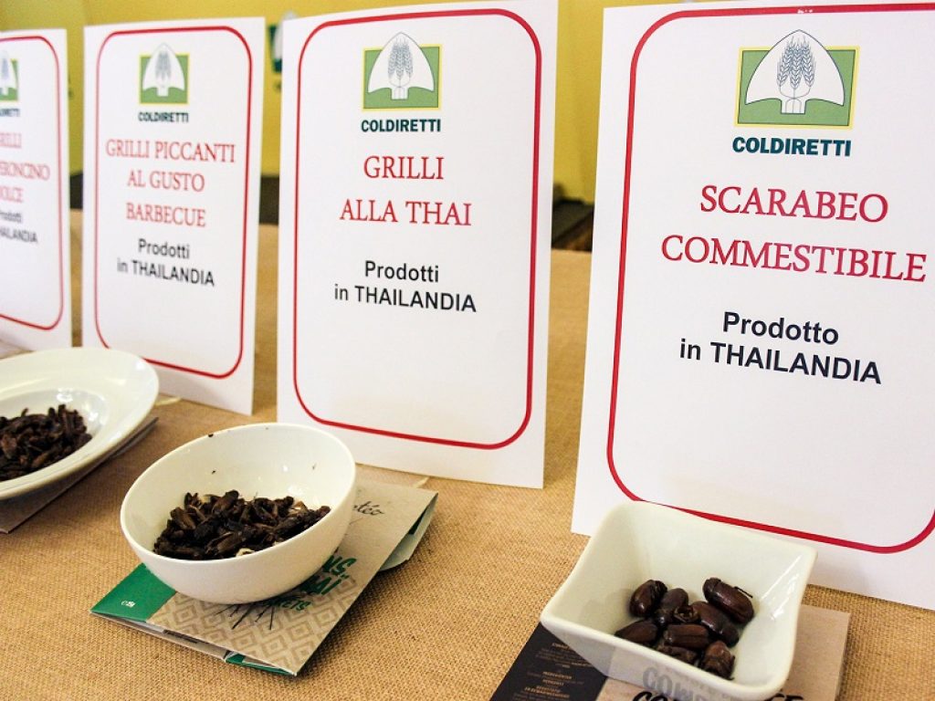 insetti da mangiare vermi grilli tarantole scorpioni