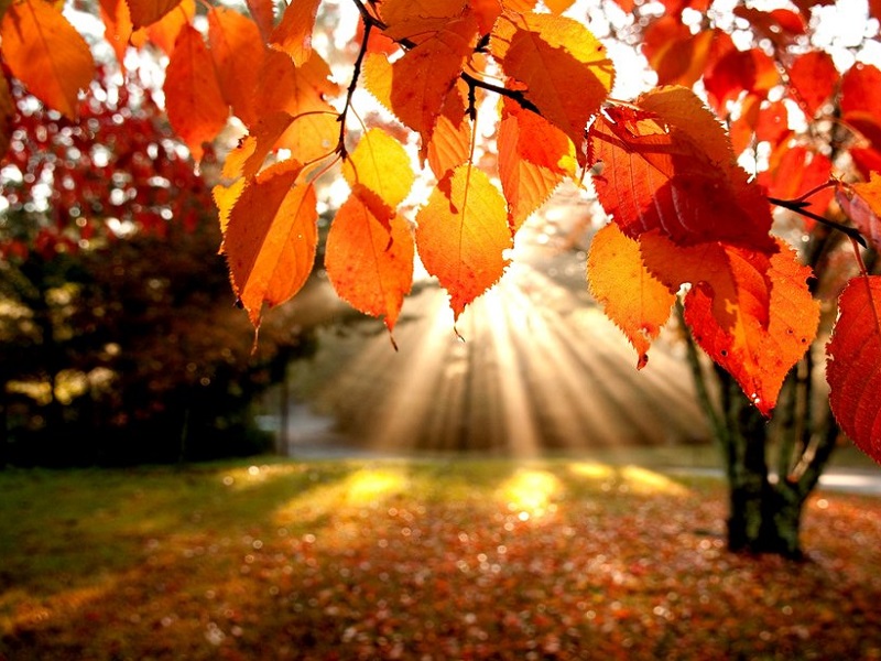 meteo previsioni domani