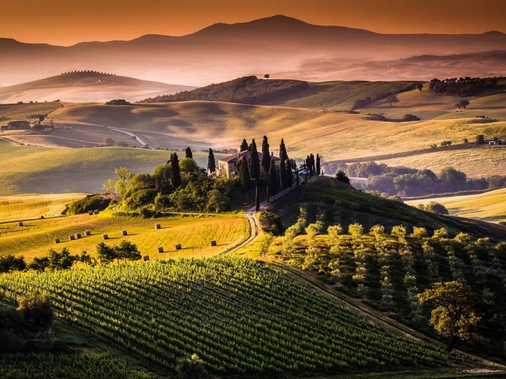 distretto rurale del chianti vino consorzio chianti classico