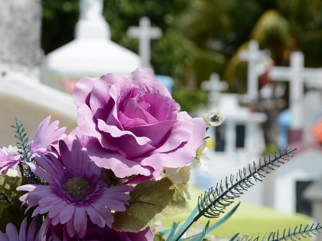 fiori cimitero 2 novembre rincari mazzo