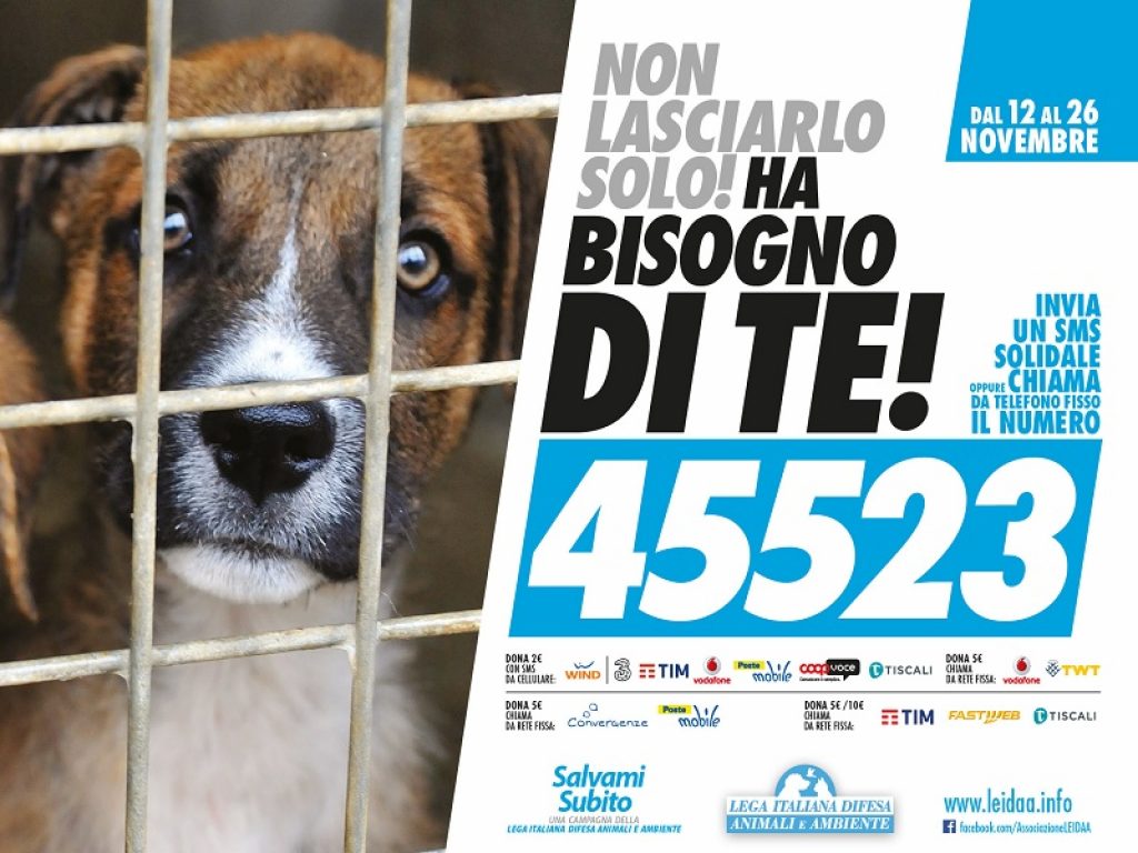 campagna contro randagismo sms solidale