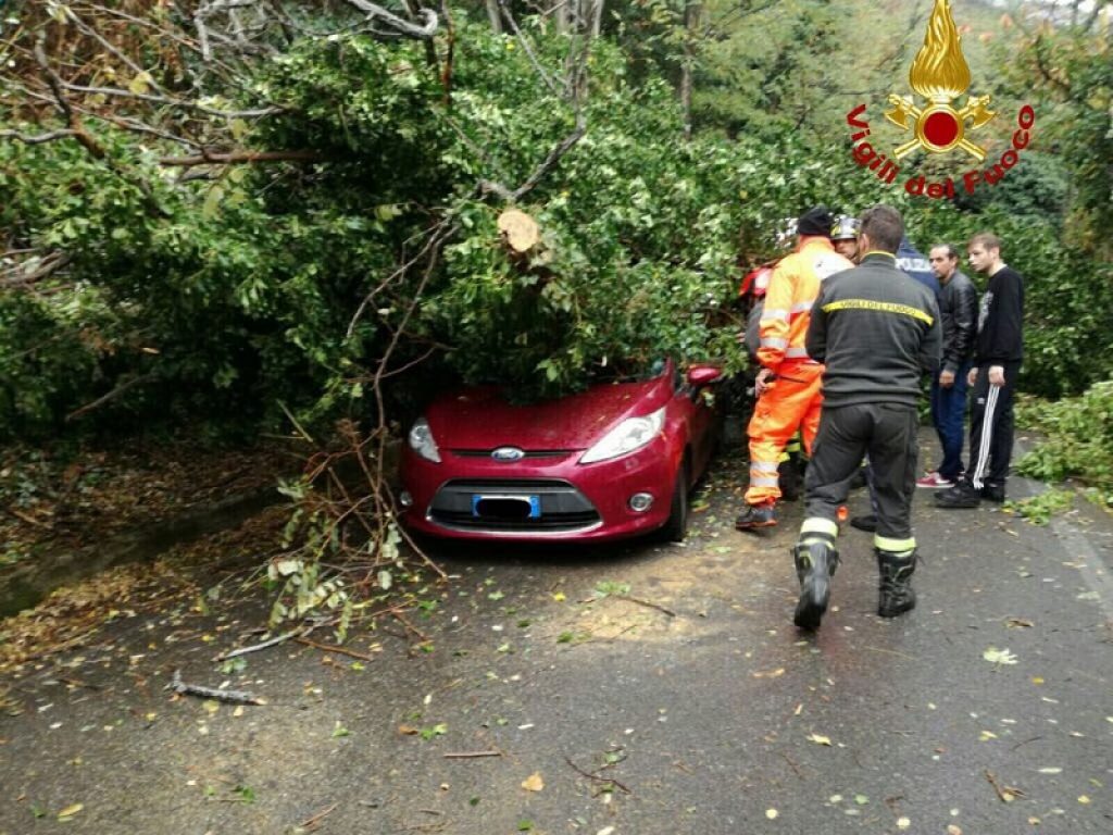 Danni e vittime nell'Italia sferzata da raffiche di vento: Coldiretti punta il dito contro la scarsa manutenzione del verde pubblico