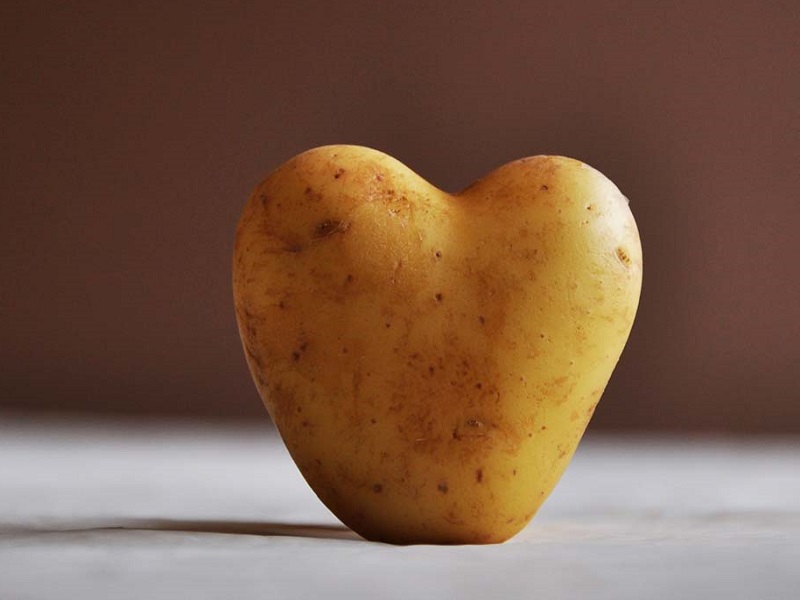 patate ricerca scientifica