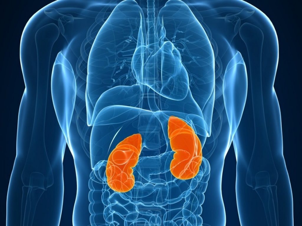 L'ipoglicemizzante canagliflozin per il diabete di tipo 2 ha dimostrato di avere maggiori effetti protettivi renali con elevata albuminuria al basale nei pazienti