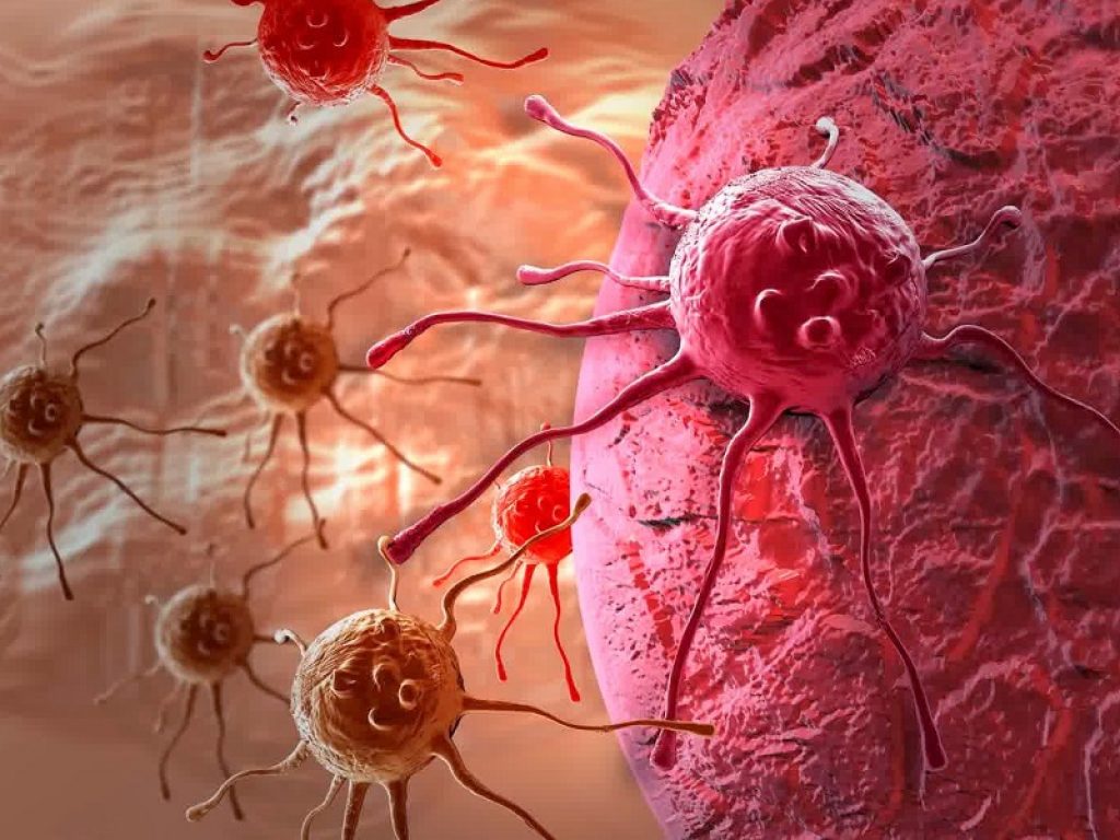 Immunoterapia: servono cellule "giovani" per combattere al meglio il cancro. Lo dimostrano i risultati di uno studio preclinico statunitense
