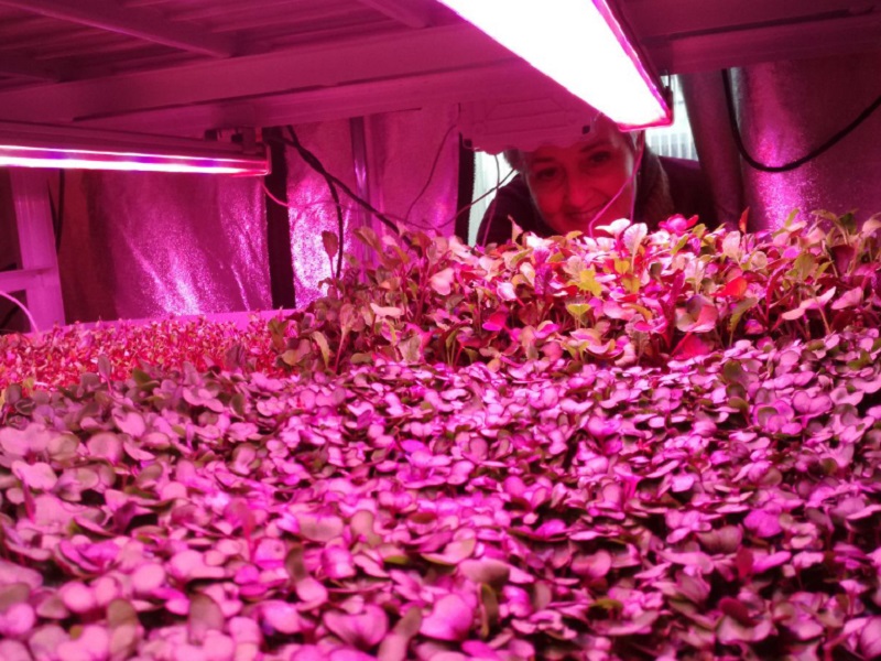 Il primo micro-orto in orbita, per coltivare verdure nello spazio a 6mila km dalla Terra, è made in Italy