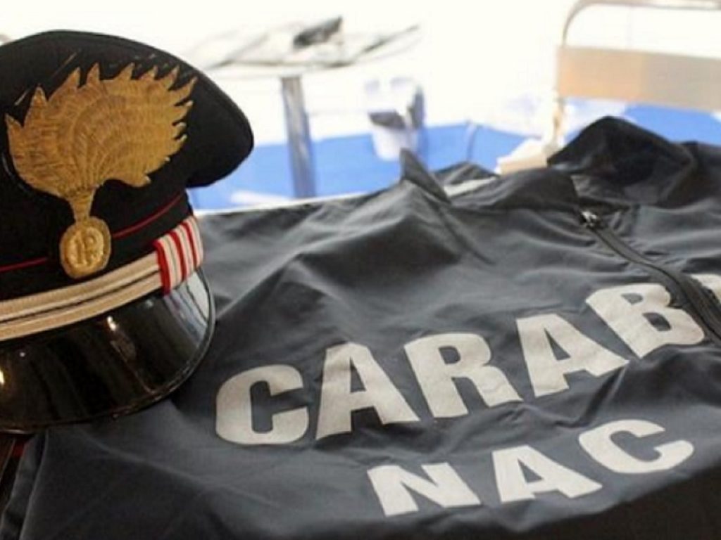 Blitz dei NAS in Puglia, Sicilia, Campania, Lazio ed Emilia Romagna: sequestrati 91.000 quintali di mosti e prodotti vinosi per un valore di circa 15 milioni di euro