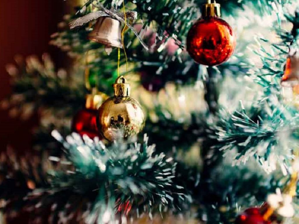 L’albero di Natale naturale trova spazio quest’anno nelle case di 3,5 milioni di famiglie per una spesa media di 42 euro: ecco come conservarlo