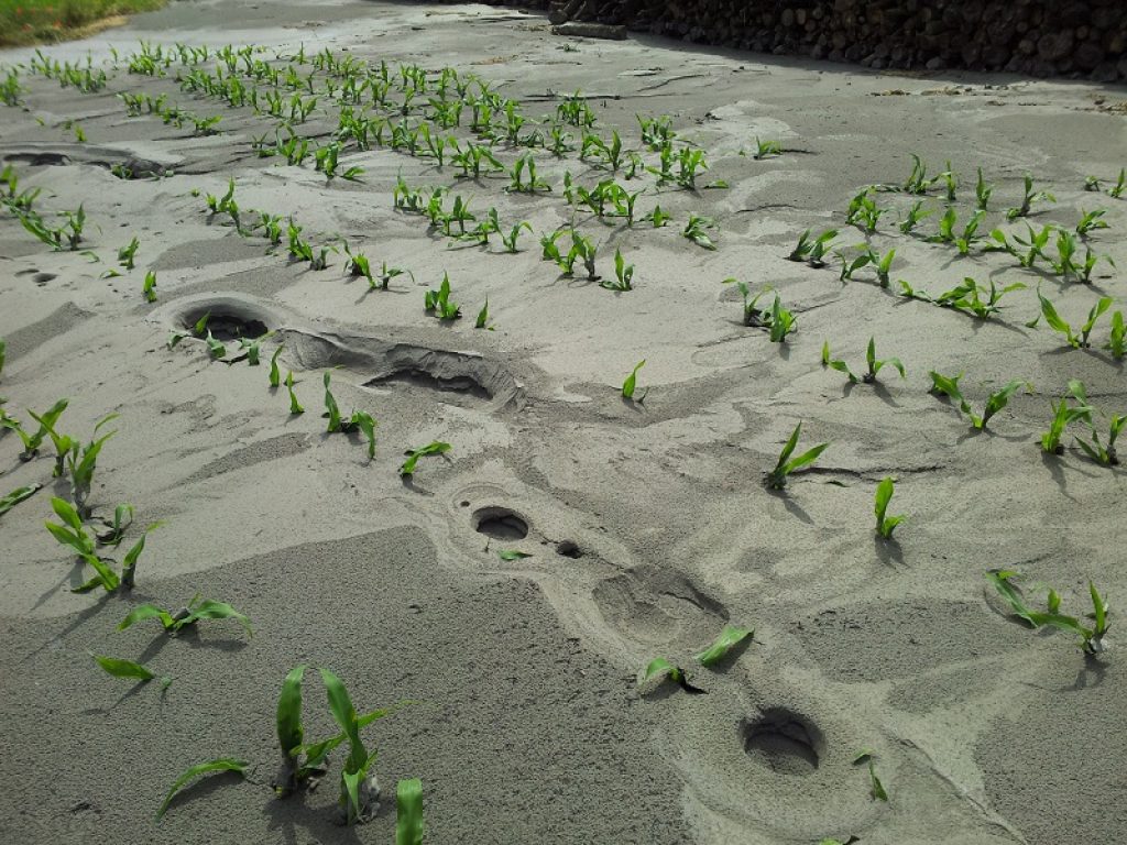 Dal sisma del 2012 in Emilia Romagna nuove indicazioni sulla geochimica dei terremoti