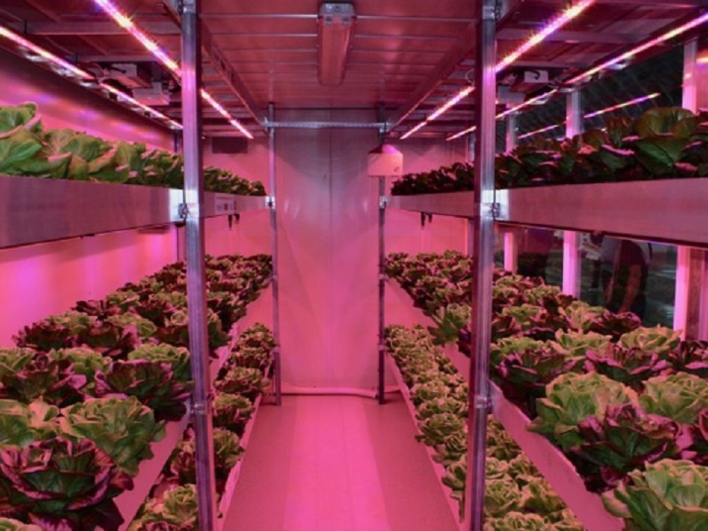 Risparmio energetico: arriva la serra bioclimatica che taglia la bolletta. L'ha progettata ENEA ed è dotata di un orto idroponico