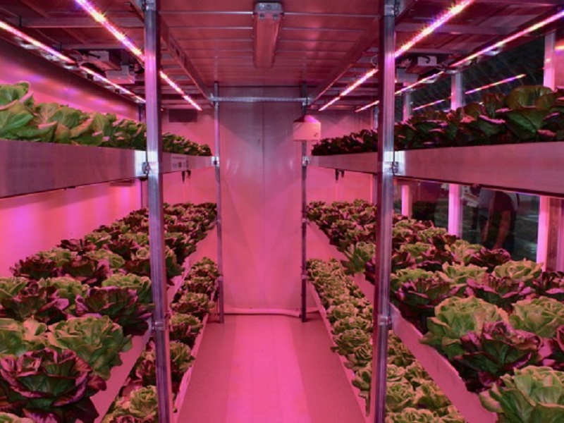 Risparmio energetico: arriva la serra bioclimatica che taglia la bolletta. L'ha progettata ENEA ed è dotata di un orto idroponico