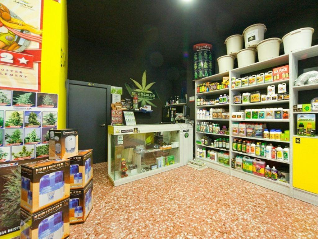 Codacons ha annunciato l’attivazione di un gruppo di acquisto per gli utilizzatori di marijuana light: chi aderisce potrà fare acquisti migliori in termini di qualità/prezzo