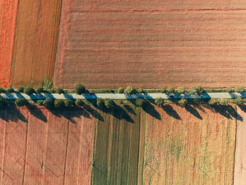 MED-GOLD, ‘Oro del Mediterraneo’ è un progetto europeo di ricerca dedicato a vite, olivo e grano duro: scienziati ENEA e grandi imprese alleate