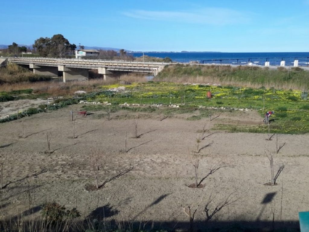 Il tasso di malati di tumore a Crotone è tra i più alti d’Italia: orto coltivato nell'inferno ambientale della zona industriale, ex Montecatini-Pertusola