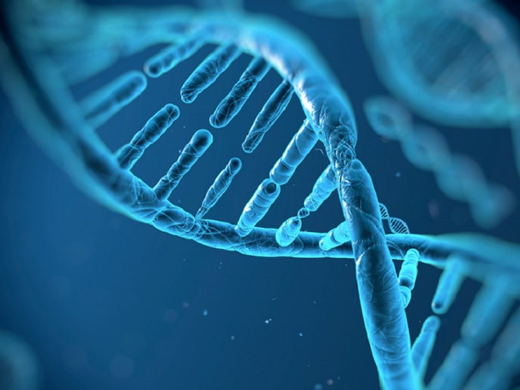 1 caso ogni 147.000 persone, la storia di Letizia e di una malattia rara dal nome impronunciabile: il deficit di fruttosio 1,6-difosfatasi