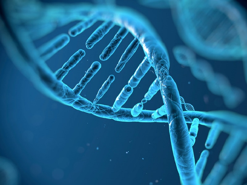 1 caso ogni 147.000 persone, la storia di Letizia e di una malattia rara dal nome impronunciabile: il deficit di fruttosio 1,6-difosfatasi