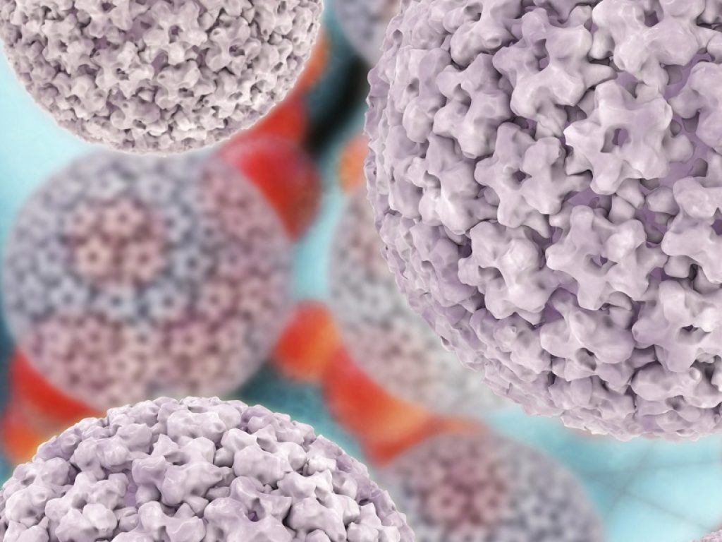 Infezione anale da HPV: alert per i maschi che fanno sesso con i maschi HIV positivi, lesioni fino a un individuo su due