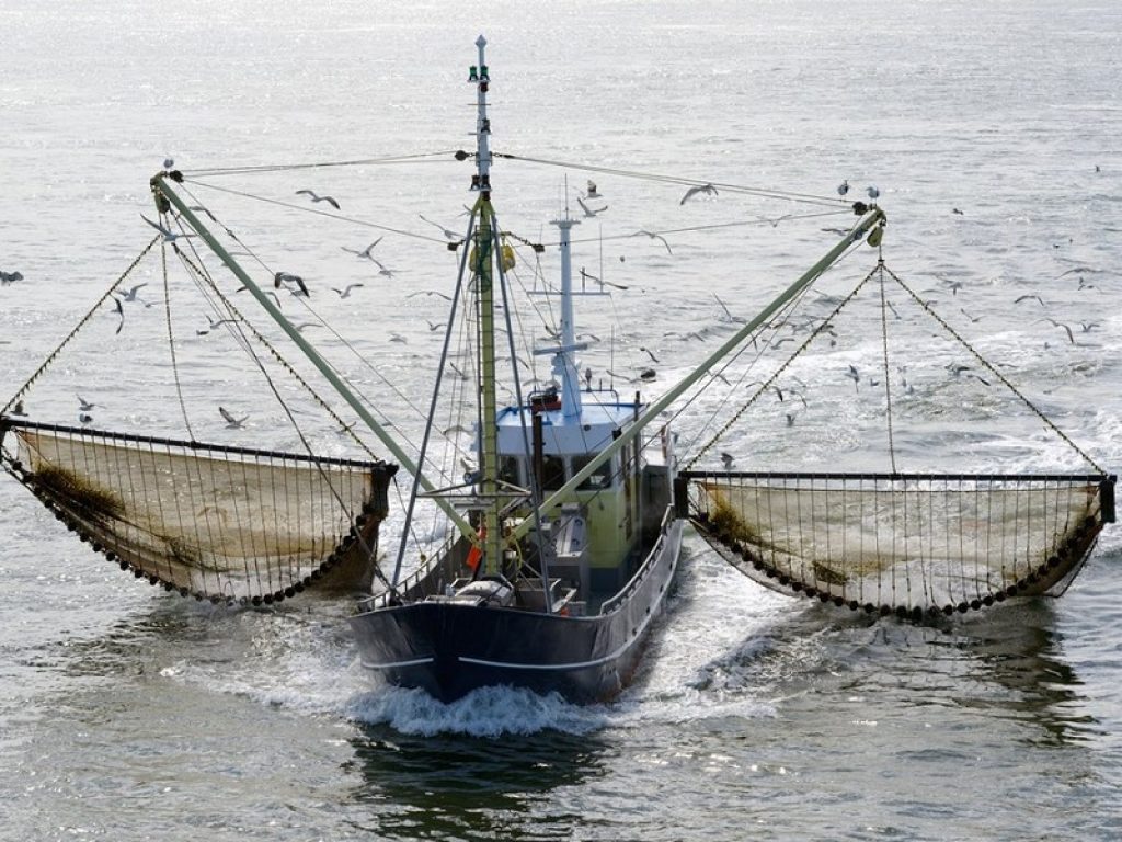 Il Parlamento europeo ha approvato il primo piano di gestione delle opportunità di pesca e di gestione degli stock nel Mediterraneo occidentale per le specie demersali