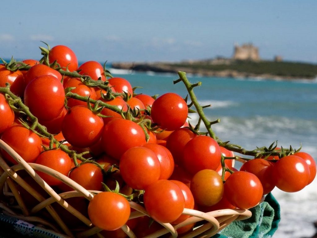 Le qualità nutrizionali del pomodoro, i numeri del mercato in Italia e i racconti storici sull’arrivo in Europa durante il Cinquecento.