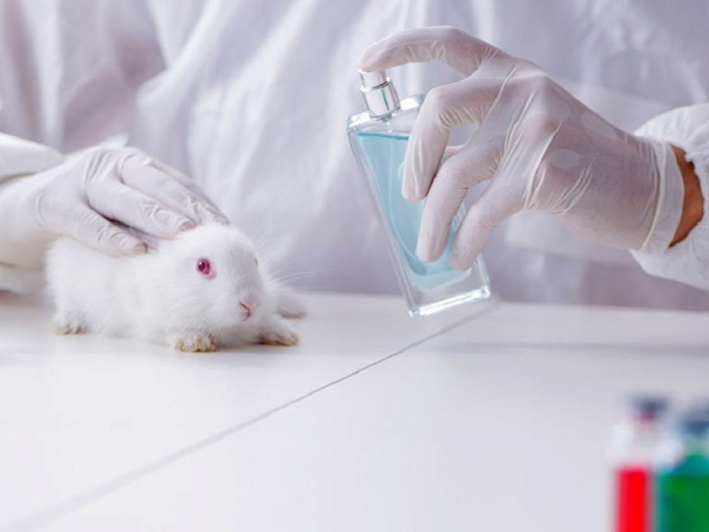 La Commissione Ambiente del Parlamento europeo approva un risoluzione che chiede il divieto globale dei test sugli animali e sulla vendita dei cosmetici testati sugli animali entro il 2023