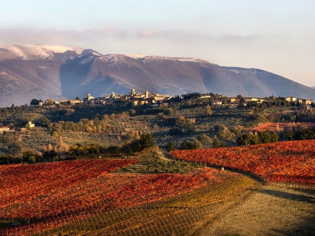 Vini più green, con una riduzione dell’uso dei fitofarmaci del 40%, prodotti a partire da una gestione più sostenibile dei vigneti. Una rivoluzione lanciata nella filiera vitivinicola dal Consorzio Tutela Vini Montefalco