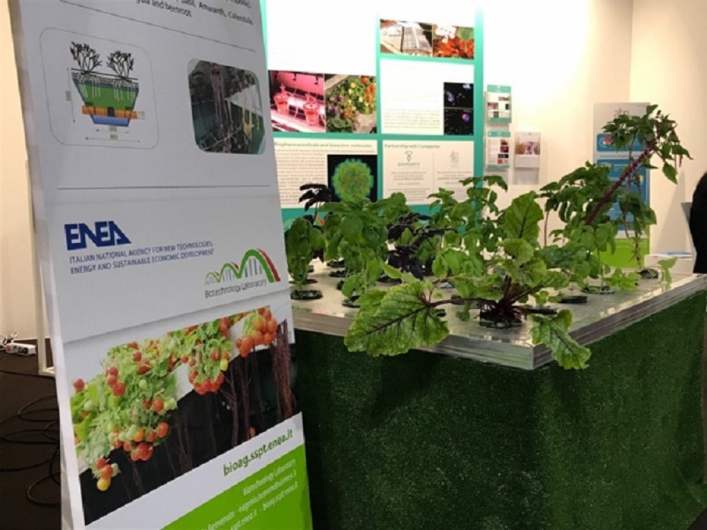 ENEA ricoprirà il ruolo di advisor scientifico nell’ambito di Seeds&Chips2018, il summit sull’innovazione per la filiera agroalimentare che si tiene dal 7 al 10 maggio al MICO - Milano Congressi