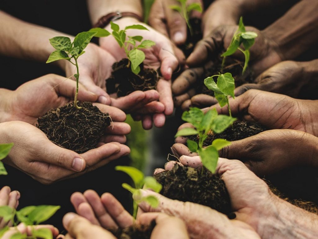 Ismea: al via l’estensione a tutta Italia delle agevolazioni per i giovani agricoltori con mutui a tasso zero e contributi a fondo perduto