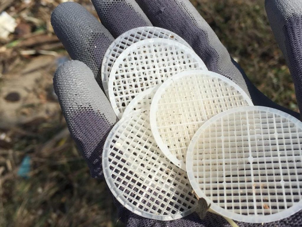 Risolto il mistero dei dischetti di plastica, sulle spiagge del Tirreno nel weekend è partita la caccia al dischetto. Centinaia di volontari hanno risposto all'appello lanciato da Clean Sea Life.