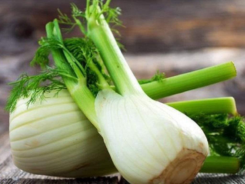 Finocchi di Isola Capo Rizzuto etichettati “Glifosate Zero”. Per Molinaro Presidente della Coldiretti Calabria “il mercato premia la qualità e l'azienda agricola Vetere recupera redditività”.