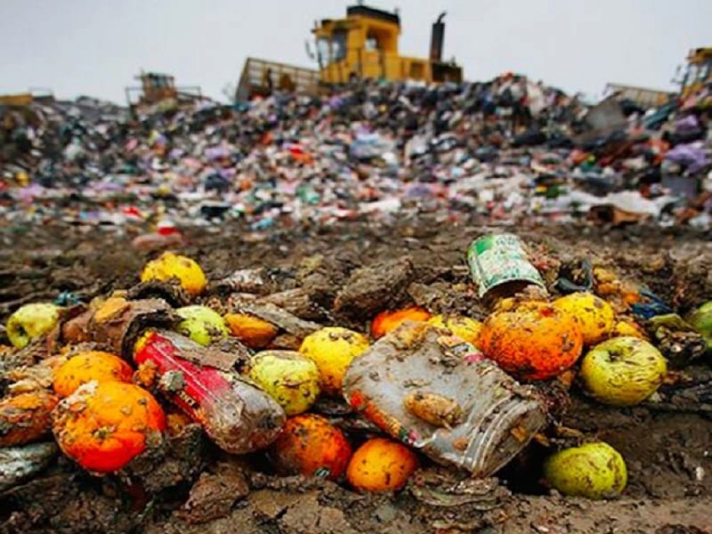 L'Italia è il Paese più sprecone d'Europa: la colpa è soprattutto del consumatore finale, responsabile del 68% del cibo che finisce in discarica