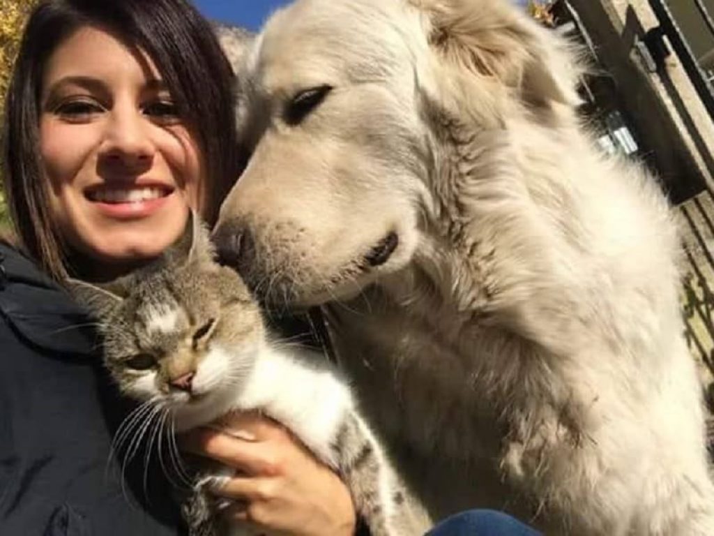 Miro, un pastore abruzzese di 3 anni, è stato sequestrato e portato in un canile con l’accusa di abbaiare e disturbare il vicino, che vive a 300 metri di distanza. Siamo a Roverè della Luna, nei dintorni di Rovereto