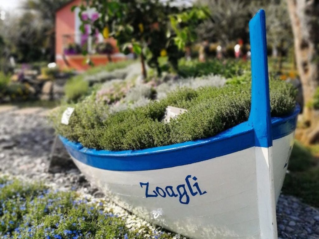 Mai così tanti fiori, piante e bulbi Made in Italy hanno abbellito case, parchi e giardini in tutti i continenti. Le esportazioni dei prodotti della floricoltura nazionale nel 2017 segnano infatti il record storico