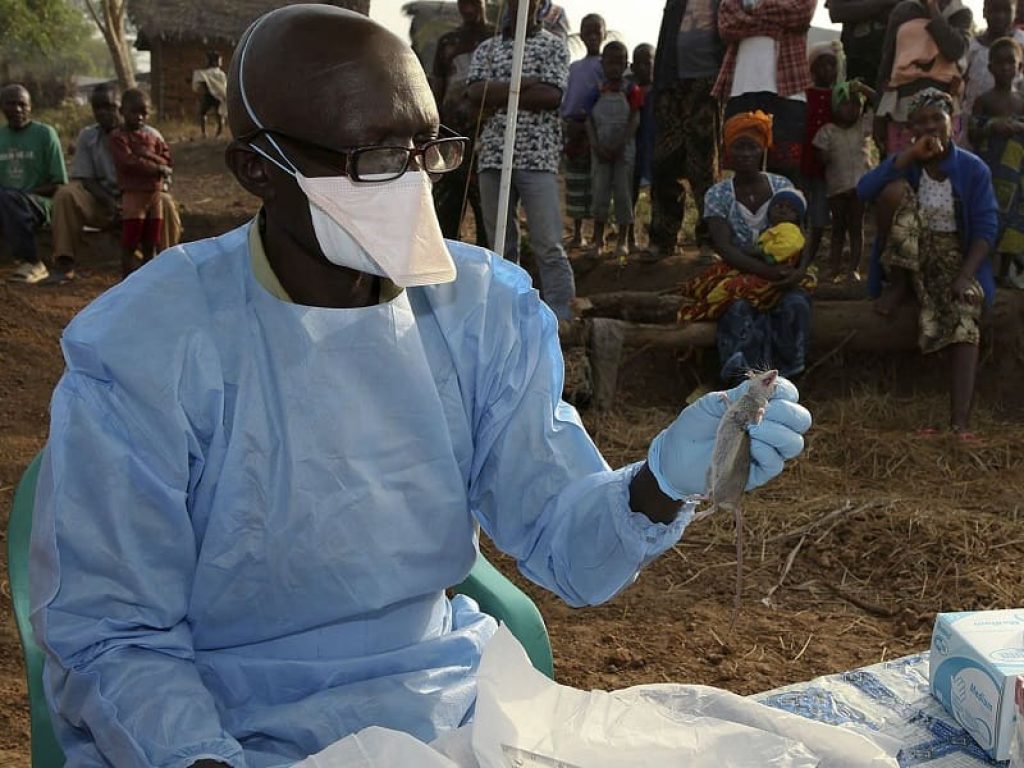 Dal 1° gennaio al 15 aprile 2018, in Nigeria sono stati segnalati 1849 casi sospetti di febbre di Lassa da 21 stati: le vittime finora sono 114.