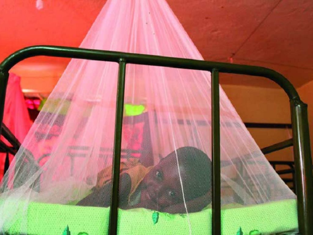 Atlante cellulare della malaria: creata la prima mappa dettagliata del comportamento individuale dei parassiti responsabili dell'infezione veicolata dalla zanzara