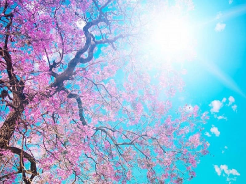 Le previsioni meteo di oggi