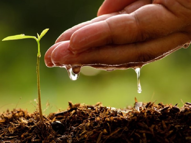 Nuove norme europee per promuovere il riutilizzo delle acque reflue nell’agricoltura: l'obiettivo è combattere la scarsità idrica