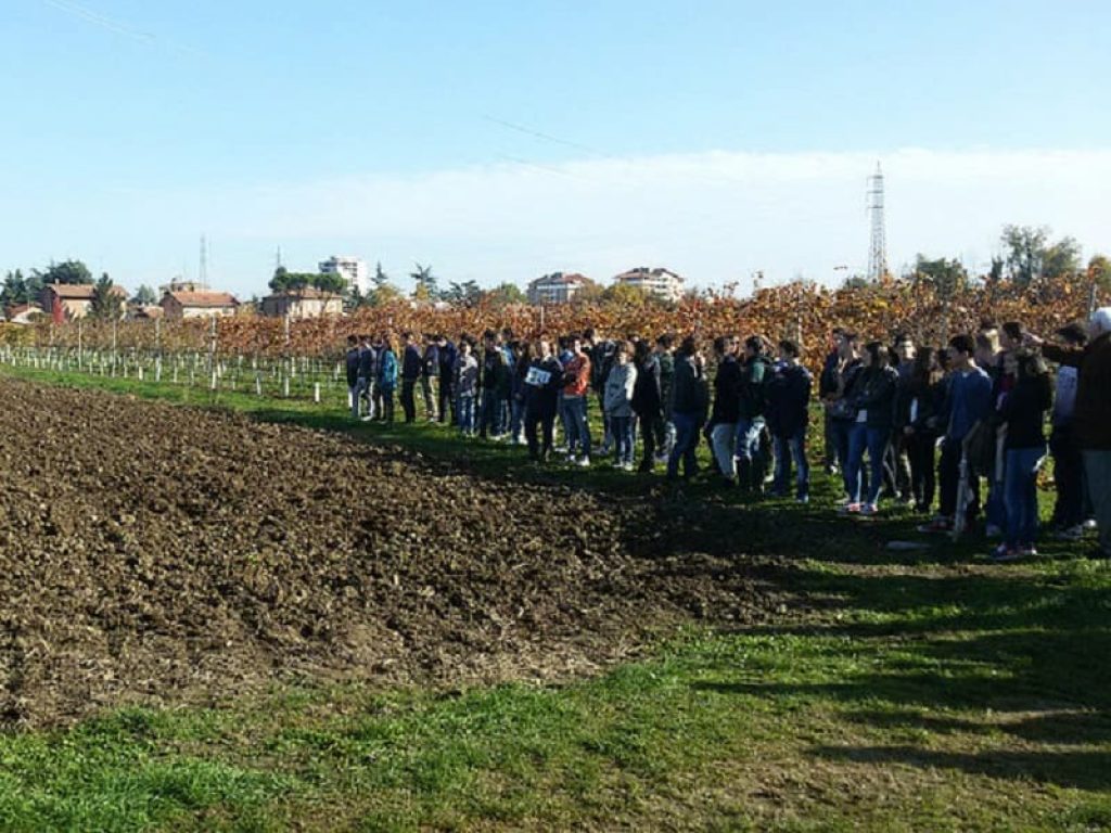 Istituti agrari: stanziato oltre 1 milione di euro per i laboratori enotecnici. Bussetti: “Puntiamo a sviluppare competenze all’avanguardia per un settore strategico dell’economia italiana”