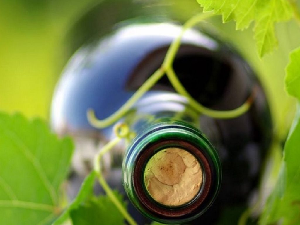 Dal 26 febbraio a Bologna la prima edizione di Sana Slow Wine Fair, la manifestazione internazionale dedicata al vino buono, pulito e giusto