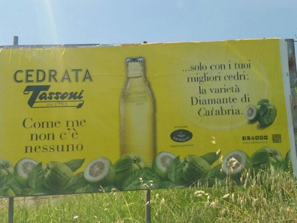 Perché controllare i fruit drinks made in Calabria ingannevoli? Coldiretti: nelle bibite con succo di frutta c’è chi indica l’origine e chi prova ad ingannare i consumatori